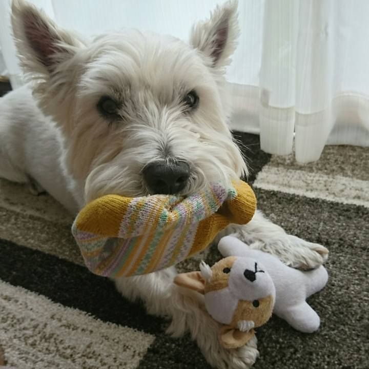 Fe6a2d2e 2e83 44e0 b99b 66d6232432b5