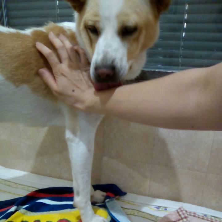 Fe6a75aa c95e 415b 8743 4b1505aaa2b5