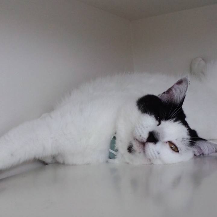 Fe6b548e c6bf 4618 b5b1 3c9f9eaa2c57