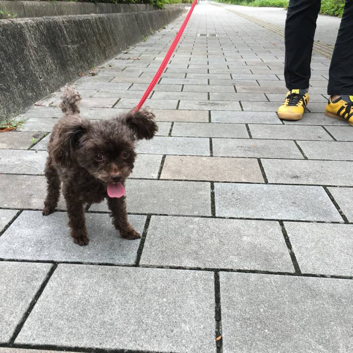 Fe6b7850 11cb 42ef 821b 4f98892a149b