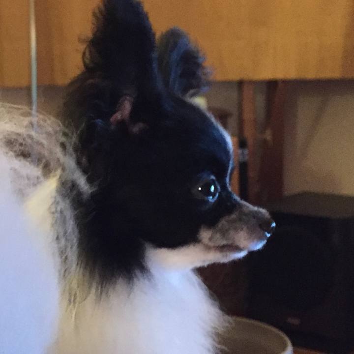 Fe6b897d 624e 4d4a 8a6b bf6c5b0f1d74