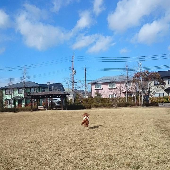 Fe6b97c4 8f98 4955 aaf4 0aab8c59d34c