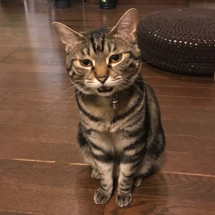 Fe6c7701 8bc6 4ffc b7dc ef7140ee3816