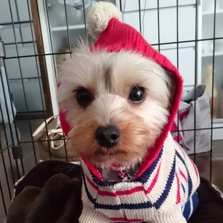 Fe6d44a3 7608 4dec bbb7 155caad0e4c0