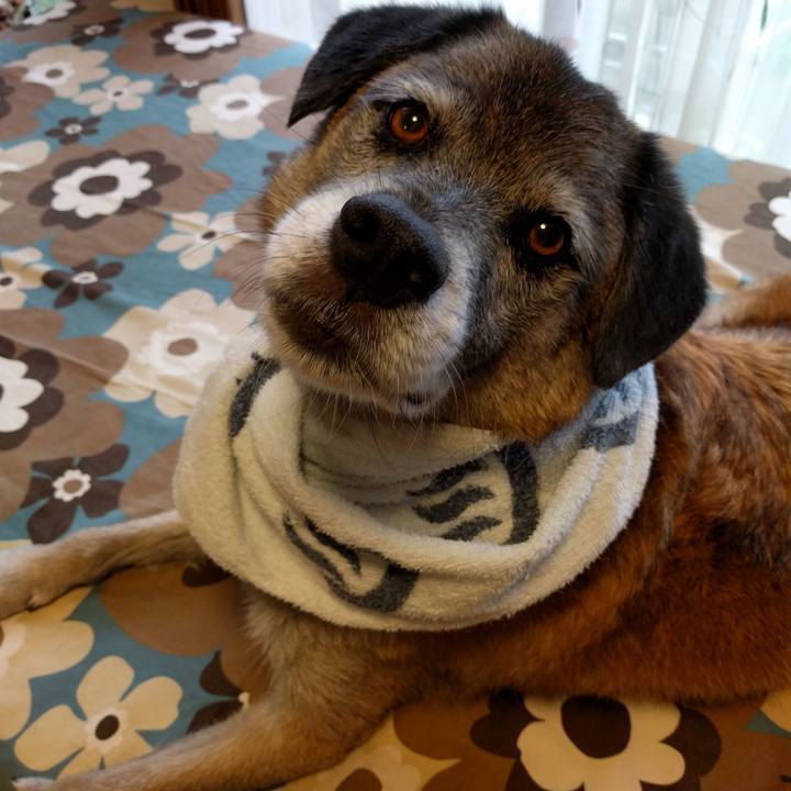 Fe6d4c09 f9ec 4275 b292 f34aab20b564