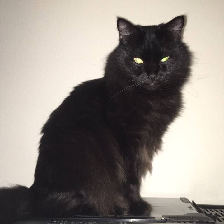 Fe6d98bd 57fe 4c78 b654 a7c9d5becb18