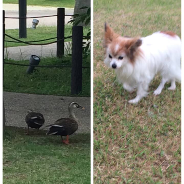 Fe6daf99 2880 4c45 a56a 1e4c85c8f75c