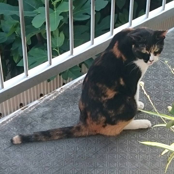 Fe6df228 75e1 47b5 9b8f ad579bf9a146