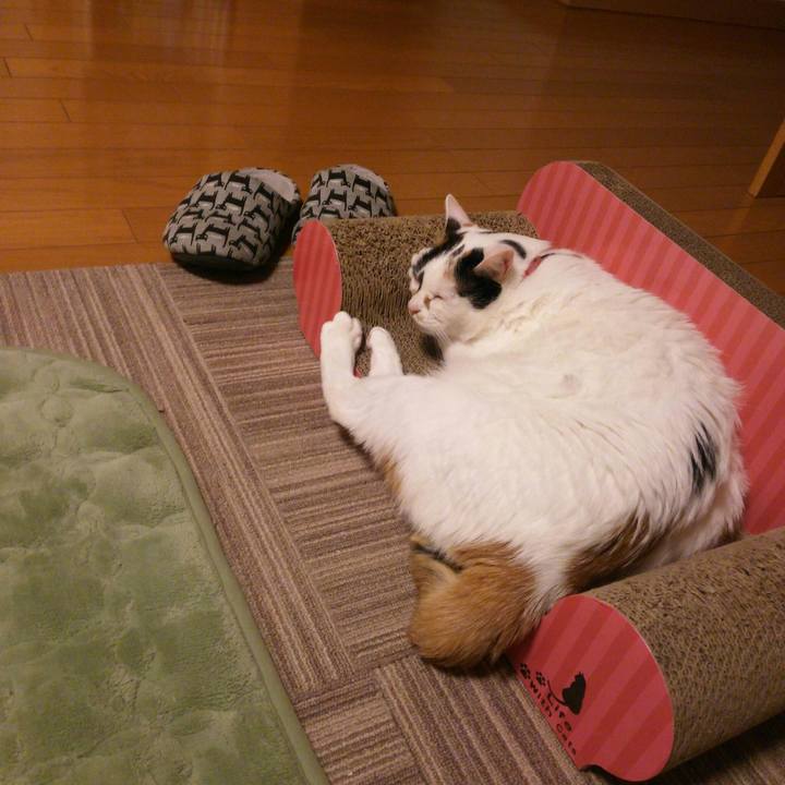 Fe6e44d7 01da 45bb 9412 d92a2a3c5670