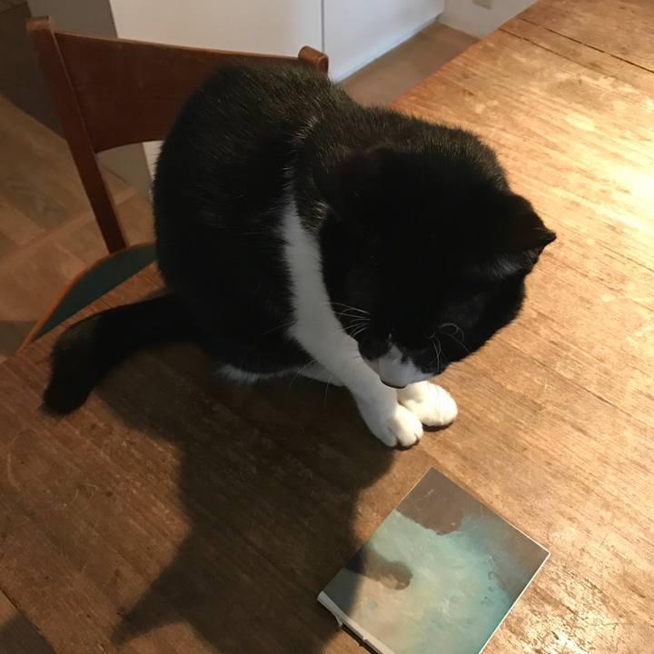 Fe6e8063 4c5e 4629 a4f3 6ef04187b8b3