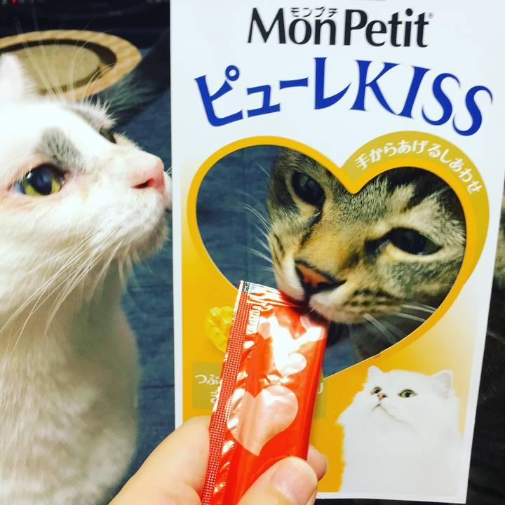 Fe6e98df fa1b 4b4d 816b ccb45a49dd72