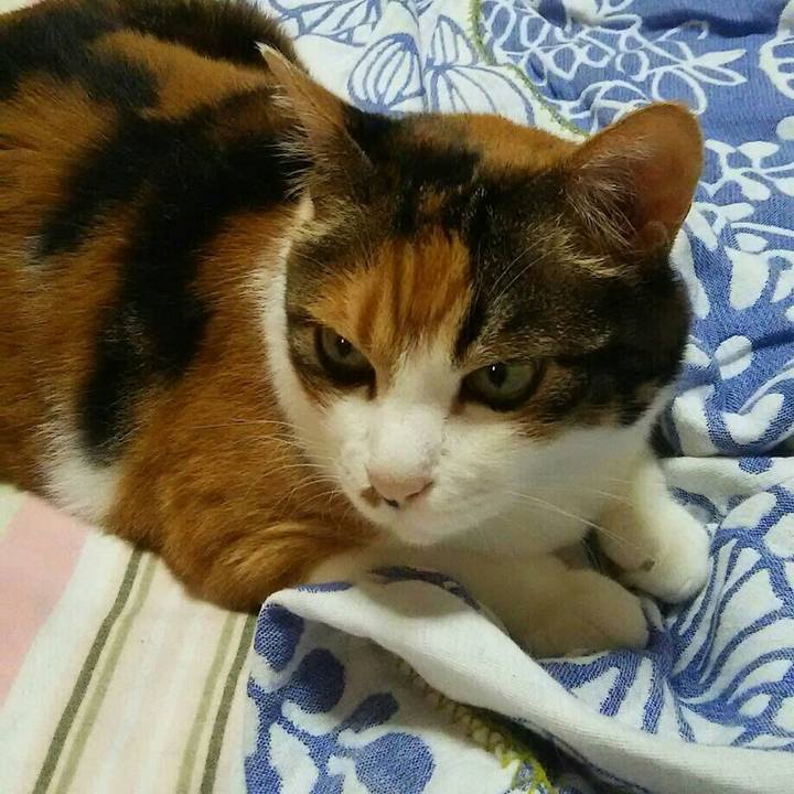 Fe6f5504 1465 4992 bc3b d425d8fbfec9