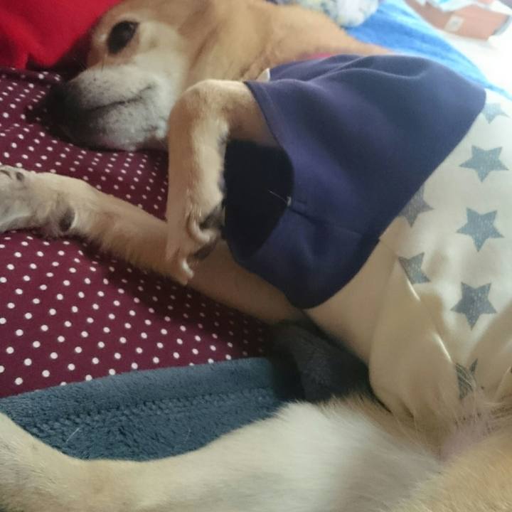 Fe70475a 1d95 4ccf bfcb 3b0943372da3