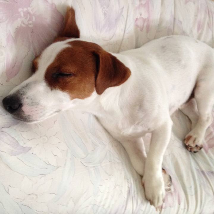 Fe70848d 5ddf 45cb 89e3 3c12dd5bd346