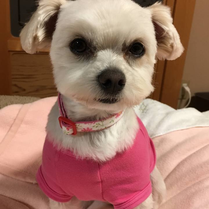 Fe7165bd c0c9 4983 b294 d491edece161