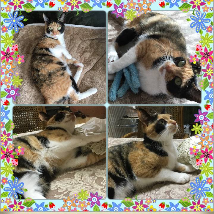 Fe71de21 afda 49d9 a764 d21268807c4a