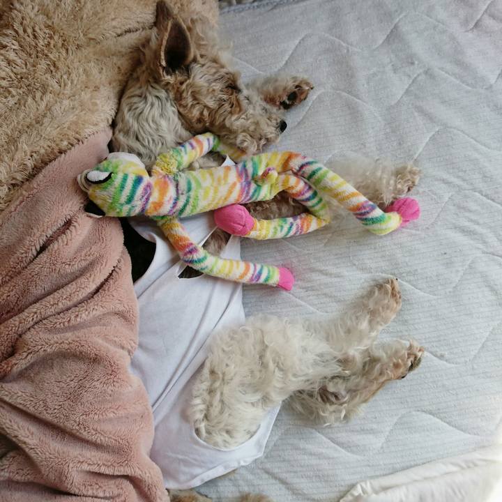 Fe71e198 0684 4a51 ad59 203428042bb0