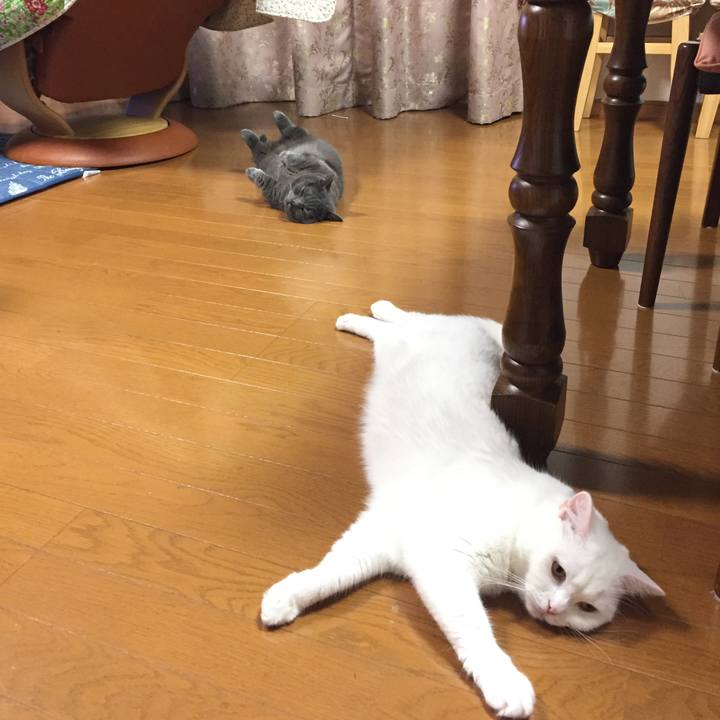 Fe71eab0 62d0 419d a918 0764df9b54fd