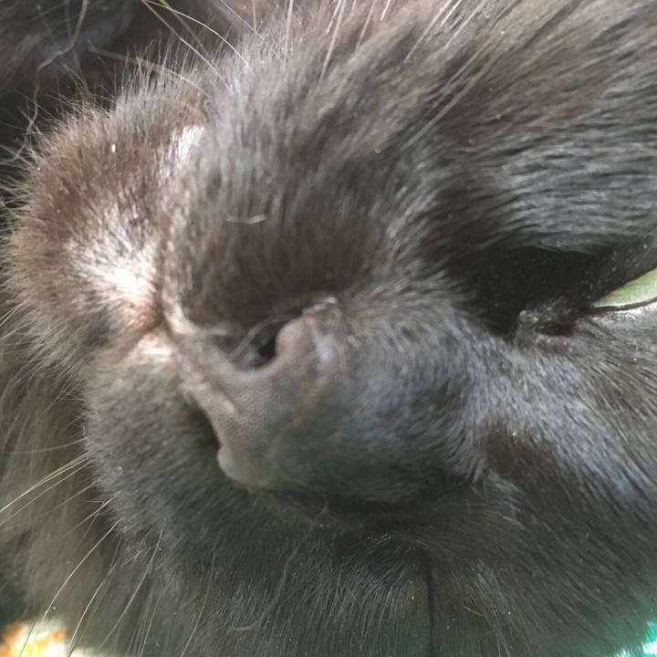 Fe71f8d1 d583 49eb bf96 b2881faa82ff