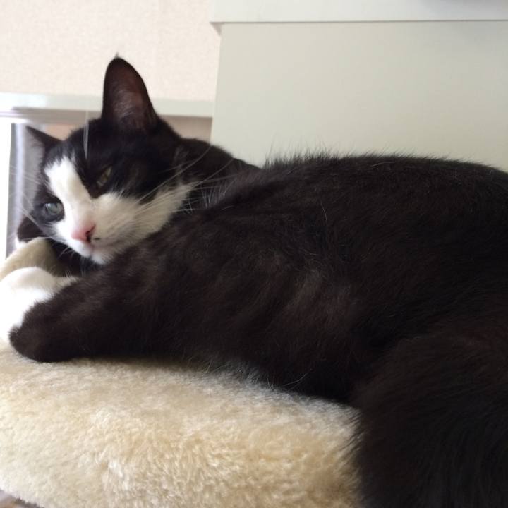 Fe7241bb 571b 4ca7 bde9 a841234d3dad