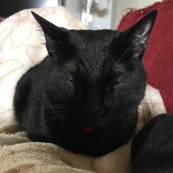 Fe72c1e1 23cd 4a4f be39 2dda76c49855