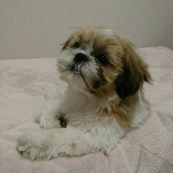 Fe735341 b3db 4a0e a7a7 0a8d7950c2d3