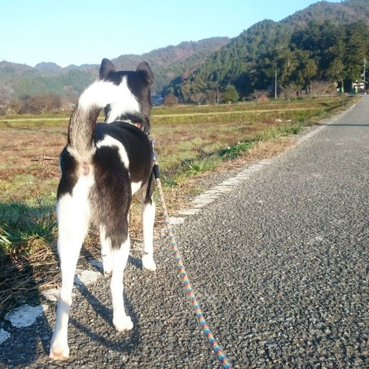 Fe739062 cbd3 4d7d 9e23 10bf4766cbeb