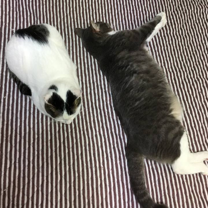 Fe750b4b ddad 4c2c a05d d41bfec46490