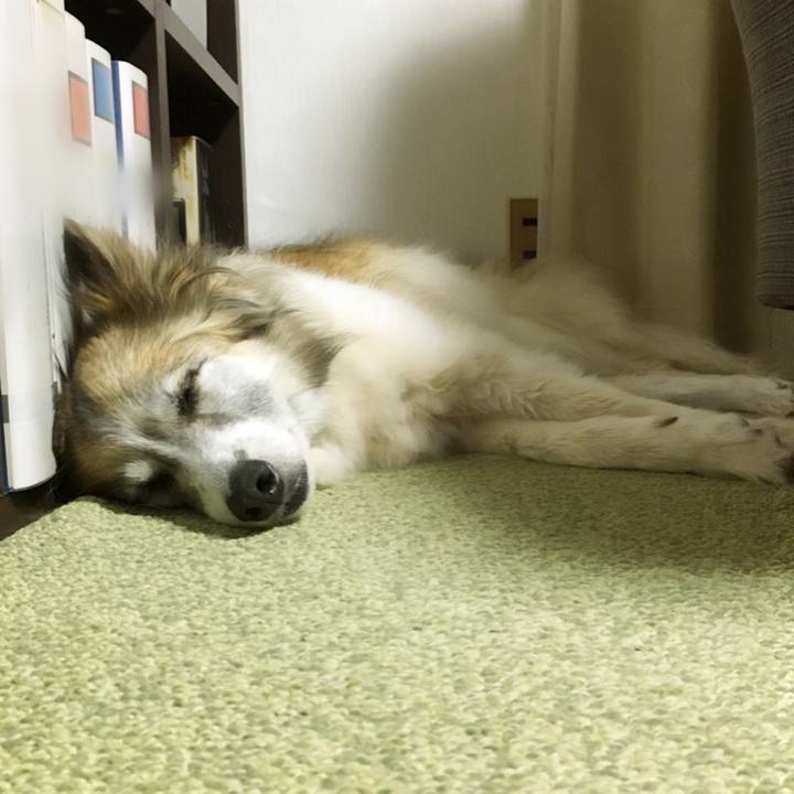 Fe75224c b7f9 43fd a548 489e9b8f5fea