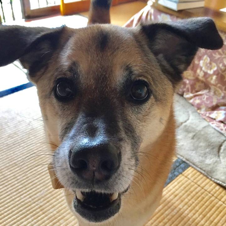 Fe7581d9 087a 4c7e 9cbd 68d659979e90