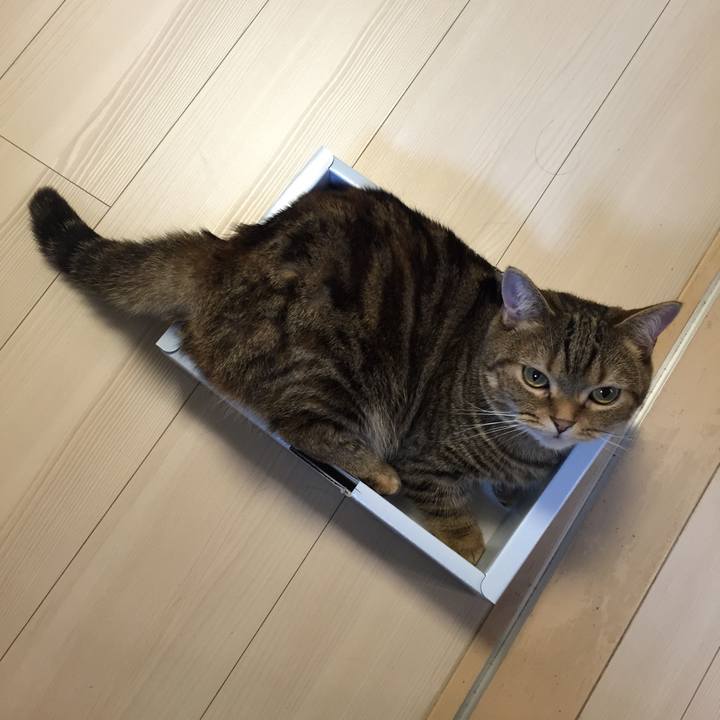 Fe75b363 b943 4f4d adfe 6ffecc884cb5