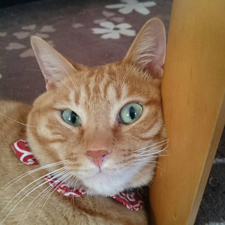 Fe75d241 558d 4166 bb70 c5be3c71a17a