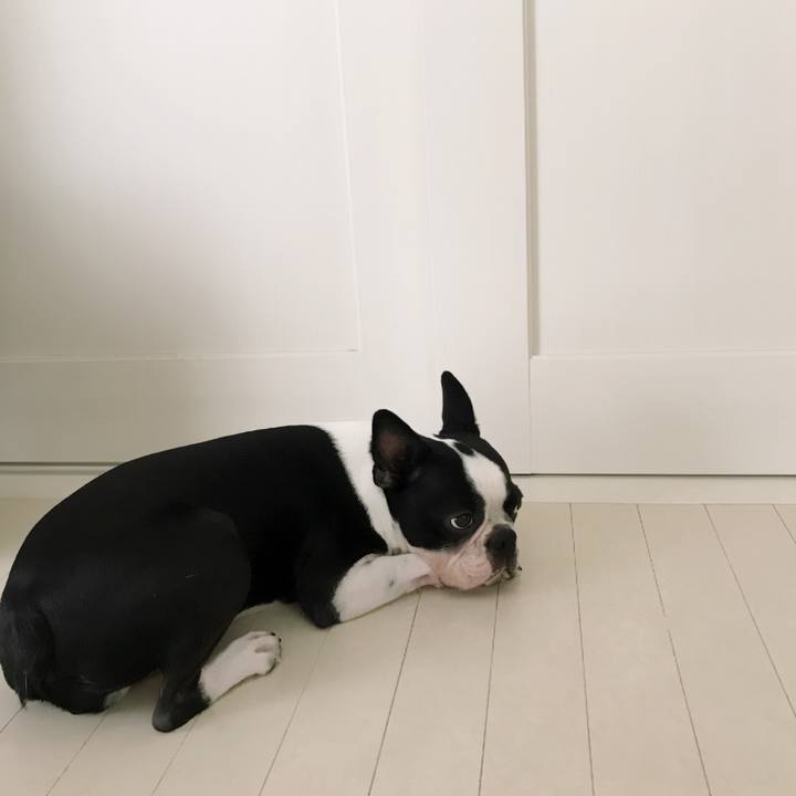 Fe769ccb 1744 4070 8a34 184a6c226321