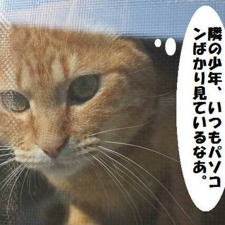 Fe76c271 7325 4bae 9463 5e12ff004a0b