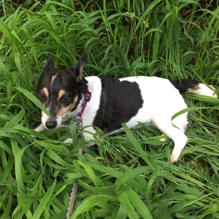 Fe76d426 bdb8 4f52 a23f dfcbeb6072a7