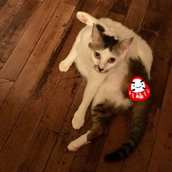 Fe772642 625a 4ec0 b433 c98668e376ad