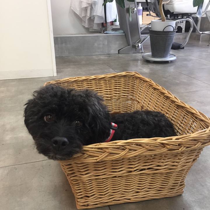 Fe773b29 8c8c 4b61 abbe 08f94483b050