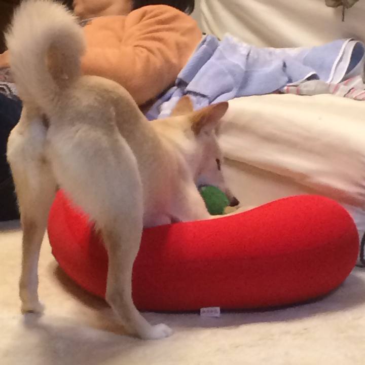 Fe778d24 dedc 400b 8459 bb55723b5fa1