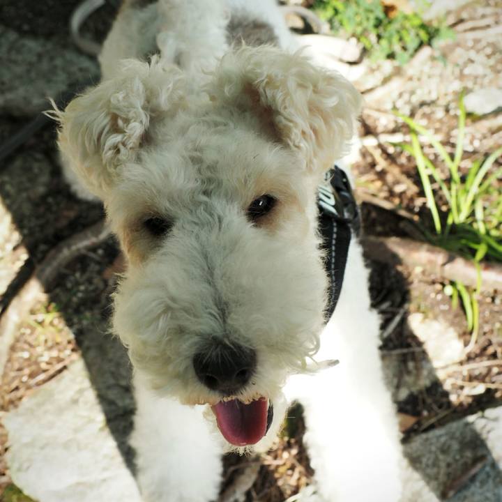 Fe77ed5f 0555 487c 8ecd bb264e593589