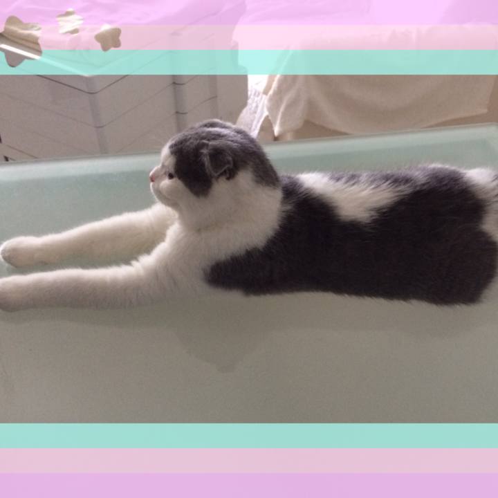 Fe7806c3 95ee 4408 a9bf 3414c3b66477