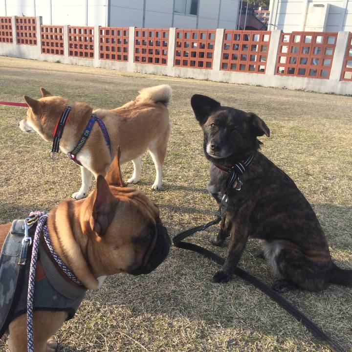 Fe780cbf a1e2 47a5 92d8 8bed6df15699