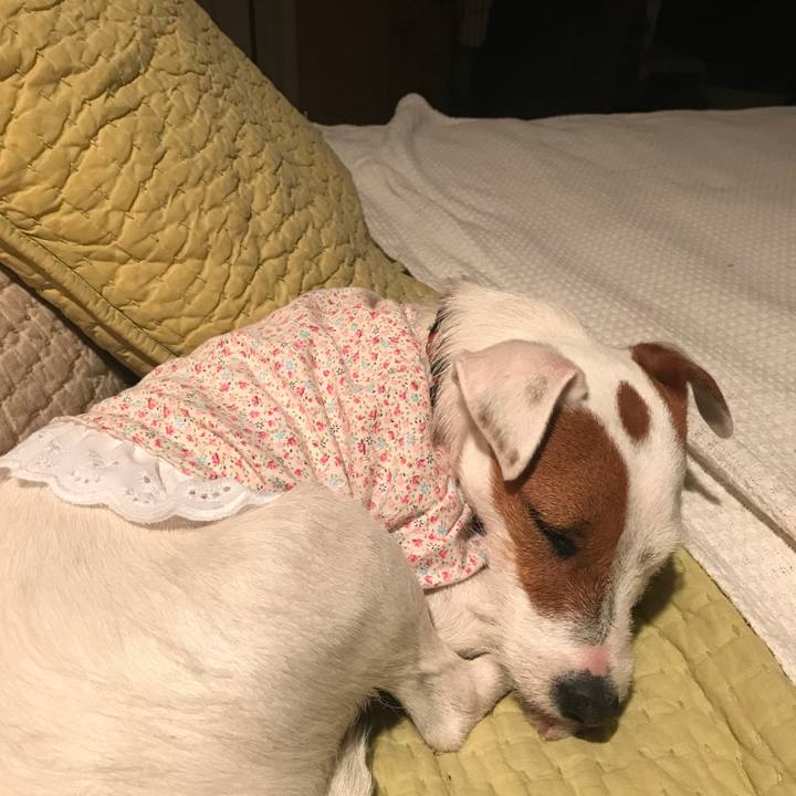 Fe786cd6 c9bc 432d 8934 44941693289a