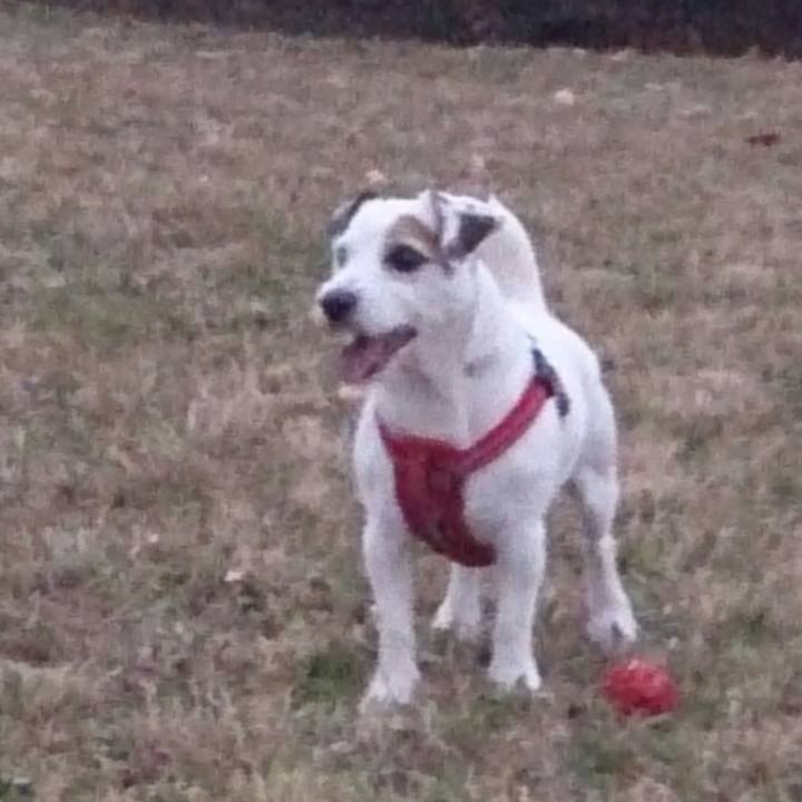 Fe789d53 7994 49d7 9c7d a752297ff268