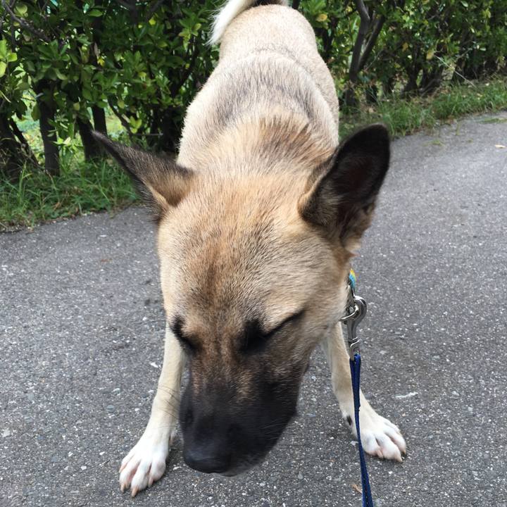 Fe798157 cbd7 4293 a770 0aaa5b1c5499