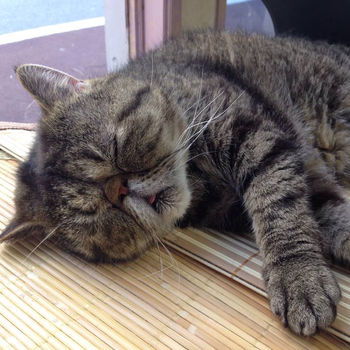 Fe798cc7 b009 4eee 8efc b3dde9ac07ce