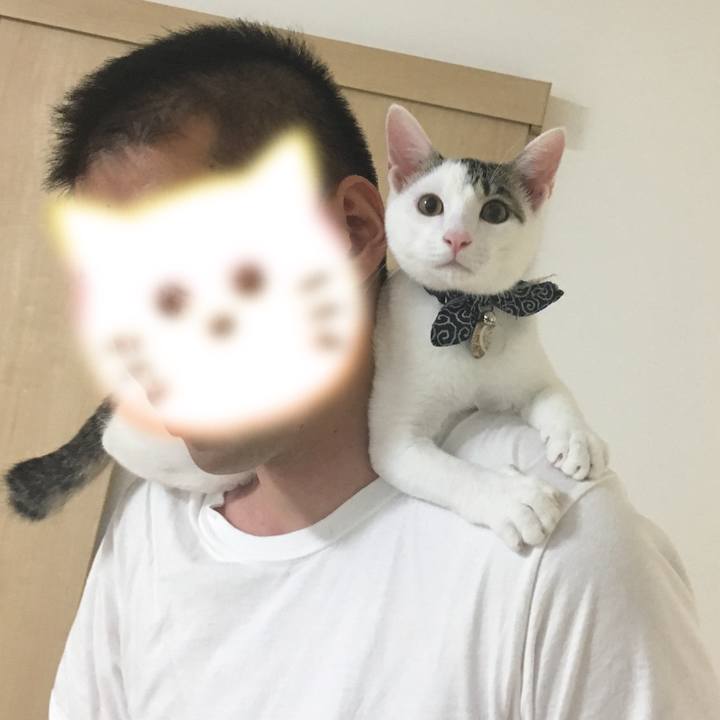 Fe79c9fd 5693 4afc b3b1 5527da56a885