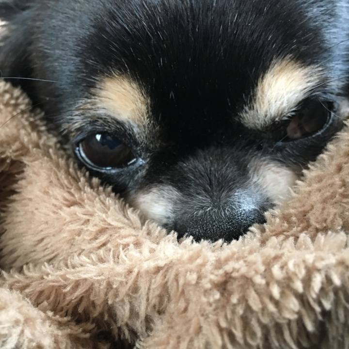 Fe7a6b8a 6574 456d acc3 fbc43e7f3bde