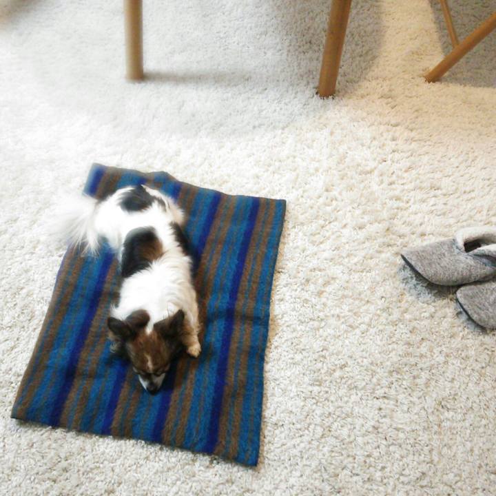 Fe7aac17 aa6b 4b66 aaf0 44e5fb089226