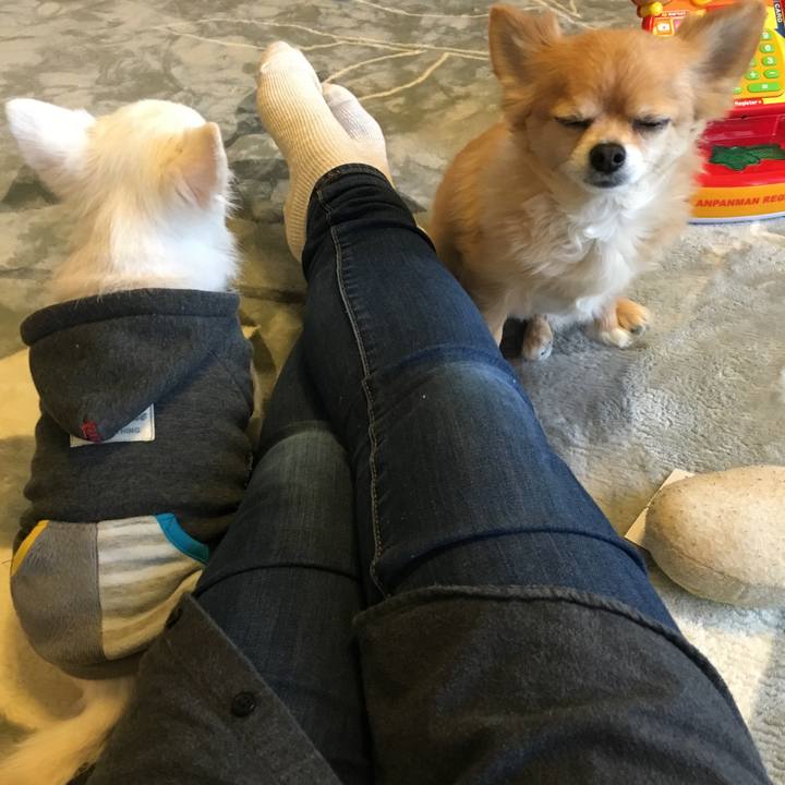 Fe7ab846 dfbd 4942 a444 8b9a41c7c331