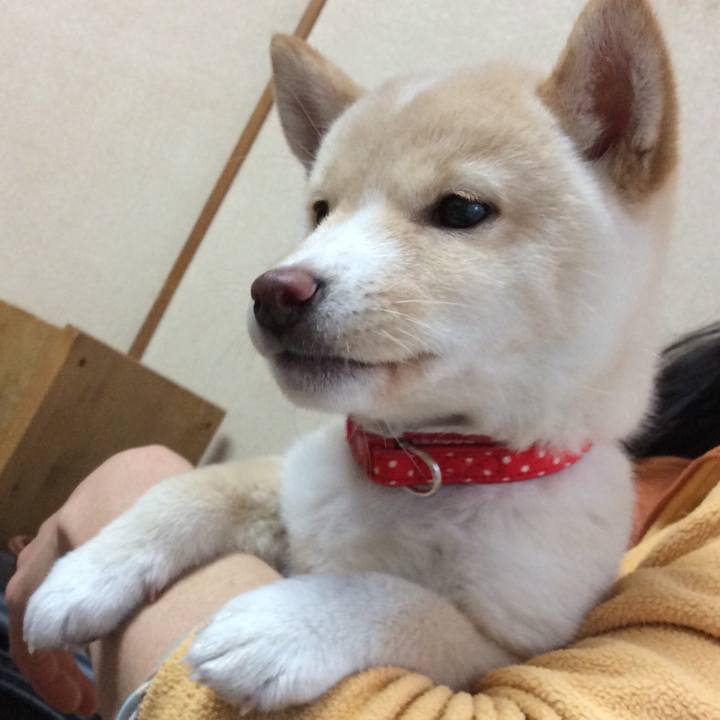 Fe7ad764 ac78 476b 9afa 68581de31471